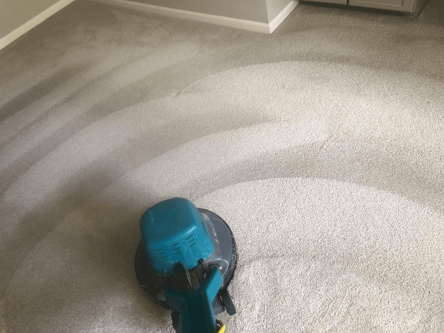 Carpet cleaning in Berry Hill, TN