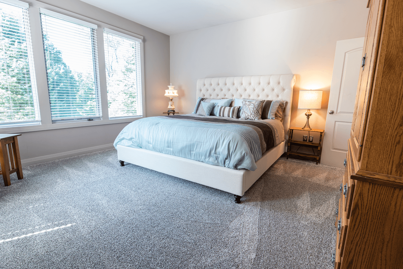 Carpet cleaning in Green Hills, TN