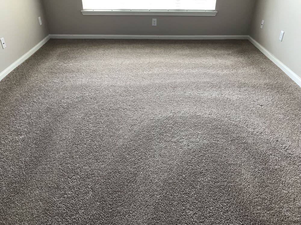 Summer Allergies and What Your Carpet Traps