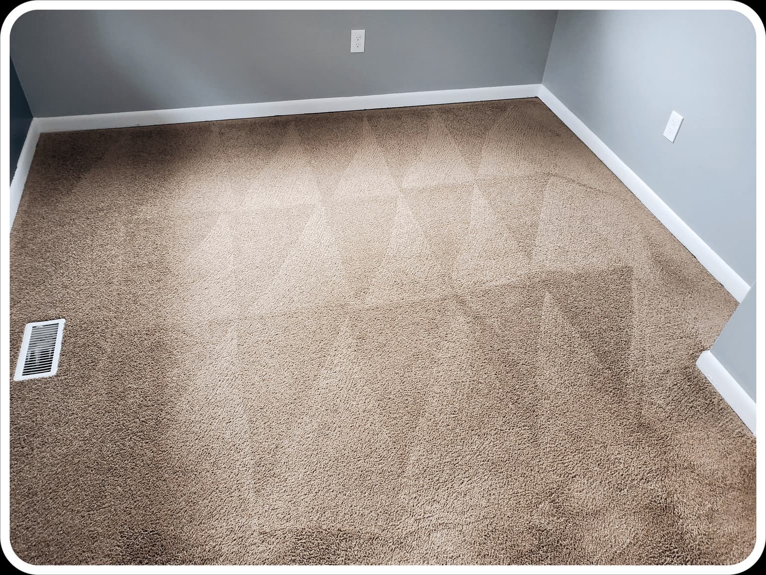 Carpet Cleaning